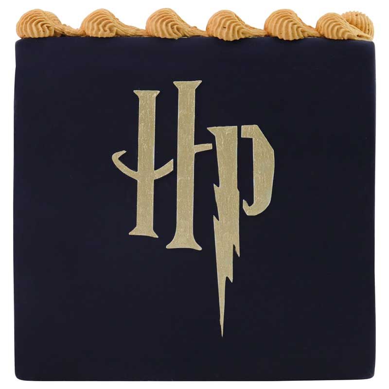 harry-potter-schablone-hp-logo-gross